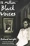 12 Million Black Voices