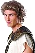 Blonde Hunk Wig - Adult Std.