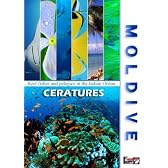 MOLDIVE THE CREATURES インド洋の真珠 モルジブ/クリューチュアーズ [DVD]