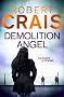 Demolition Angel