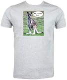 Kangaroo Hopping Mad T Shirt, Grey, size small