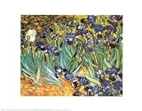 Irises, Saint-Remy, c.1889 Art Poster Print by Vincent van Gogh, 14x11