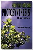 Photosynthesis