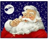Classic Santa Holiday 100% Polyester Fleece Throw