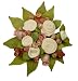 The Baby Bunch Organic Bunch Blush 0 to 6 Months