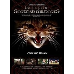 The Last Of The Scottish Wildcats [DVD] [NTSC]