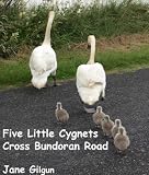 Five Little Cygnets Cross the Bundoran Road