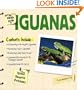 The Simple Guide to Iquanas