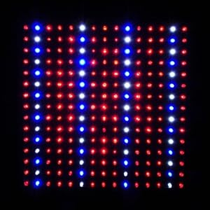 LED Wholesalers 2501QUAD Blue/Red/Orange/White 225 LED 13.8 Watt Square Grow Light Panel 110 Volt LED Wholesalers 2501QUAD Blue/Red/Orange/White 225 LED 13.8 Watt Square Grow Light Panel 110 Volt