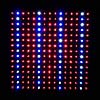 LED Wholesalers 2501QUAD Blue/Red/Orange/White 225 LED 13.8 Watt Square Grow Light Panel 110 Volt