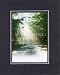 My Hiding Place - Psalm 32:7 . . . 8 x 10 Inches Biblical/Religious Verses set in Double Beveled Matting - A Timeless and Priceless Poetry Keepsake Collection