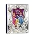 Princess Silver Plated Portrait Photo Album