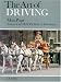 The Art of Driving According to the Guidelines of Benno Von Achenbach