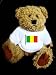 Teddy Bear with mali, flag t-shirt