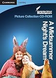 A midsummer night's dream