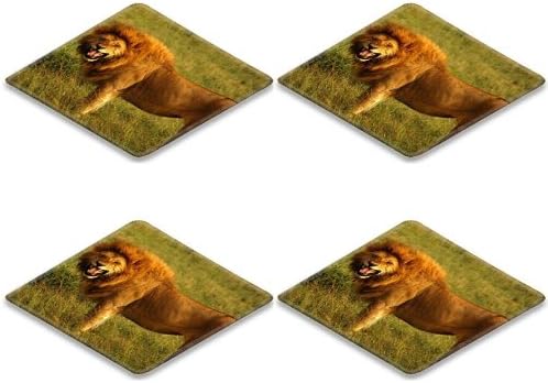 Leopard Lion King Wildlife Savanna Grassland Animal Predator Square Coaster (4 Piece) Set Fabric Rubber 5 Inch Size Liil Coaster Cup Mug Can Water Bottle Drink Coasters Stain Resistance Collector Kit Kitchen Table Top Desk
