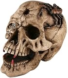 Halloween Fake Skull with Fangs Prop