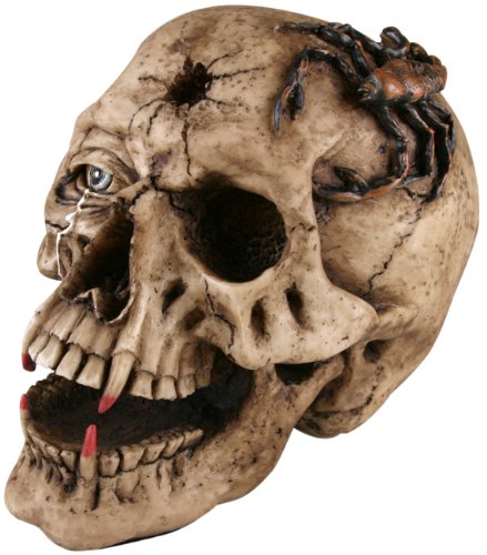 Halloween Fake Skull with Fangs Prop