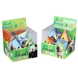 Animal Cahooties