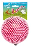 Jolly Pets Bounce-n-Play Dog Toy, Vanilla Scented, 8-Inch