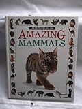 Amazing mammals