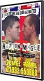 Ricky Hatton vs. Eamonn Magee 11