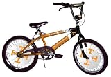 Best Bikes NCAA Team Logo 20 BMX Bicycle, Choose Team
