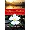 Ultimate Guide to Literary Roses in Books and on DVD