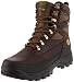 Timberland CHOCHRA 8"" 400G GTX DK BR 53100, Herren Stiefel, Braun (Dark Brown), EU 41 (US 7.5)