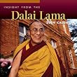 Insight from the Dalai Lama: 2009 Day-to-Day Calendar
