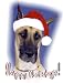 Pet Star Christmas Cards - Great Dane