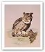 The Lookout by Howard Burger 11"x14" Art Print Poster