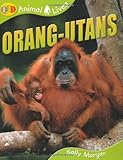 Orang-utans