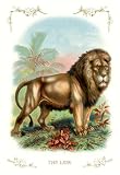 Buyenlarge - The Lion 24x36 Giclee