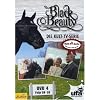 Black Beauty, Teil 04