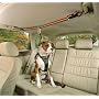 Kurgo Automobile Zip-Line, Large (Dogs 50 to 80 Pounds)