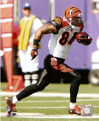 T.J. Houshmandzadeh Bengals Running 8x10 Photo