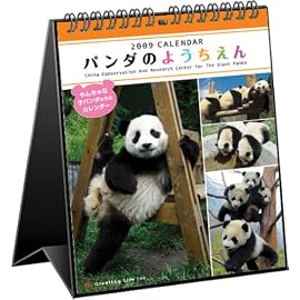 パンダのようちえん2009カレンダー C-212-PA