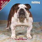 Eigenschaften Avonside Publishing Ltd.  / Kalender 2009 Bulldog - Englische Bulldogge
