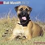 Kalender 2013 Bull Mastiff - Bullmastiff + kostenl&hellip von Avonside Publishing Ltd. 2013