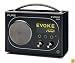 PURE Evoke Flow VL-60896 DAB Radio