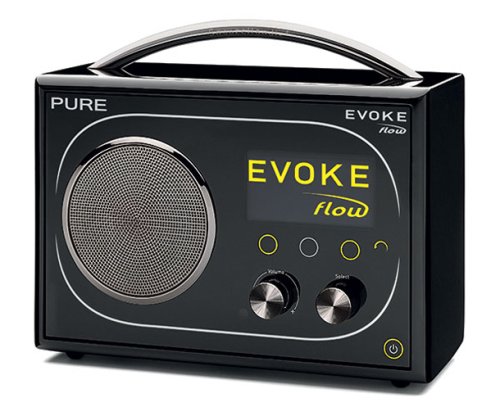 Childrens Toyshop  Electronics : PURE Evoke Flow VL-60896 DAB Radio