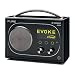PURE EVOKE Flow, Portable DAB/FM/Internet Radio