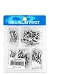 100 Pc Rivet Assortment