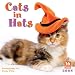 Cats in Hats 2008 Wall Calendar
