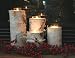 Birch Candle Holders - Set of 4 - Regular Diameter