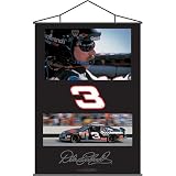 B.S.I. Dale Earnhardt Legacy Indoor Banner