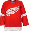 Detroit Red Wings 2006 Authentic Team Color Jersey