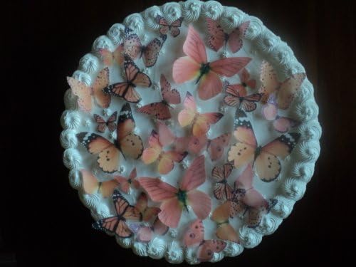 15 ORANGE Edible Butterflies Assorted Set - Cake Decorations, Cupcake Topper