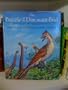 The Puzzle of the Dinosaur-bird: The Story of Archaeopteryx